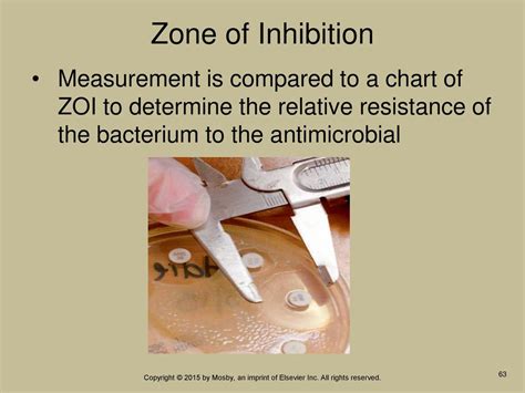 Measurement Of Zoi