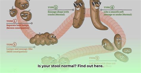Moderate Colonic Stool Burden