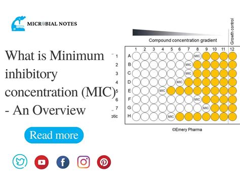 Of Minimum Inhibitory Concentration