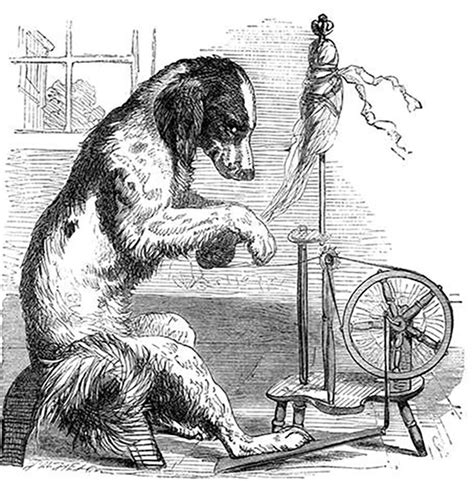 Old Book Illustrations