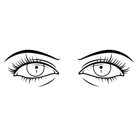 Outline Of Eyes