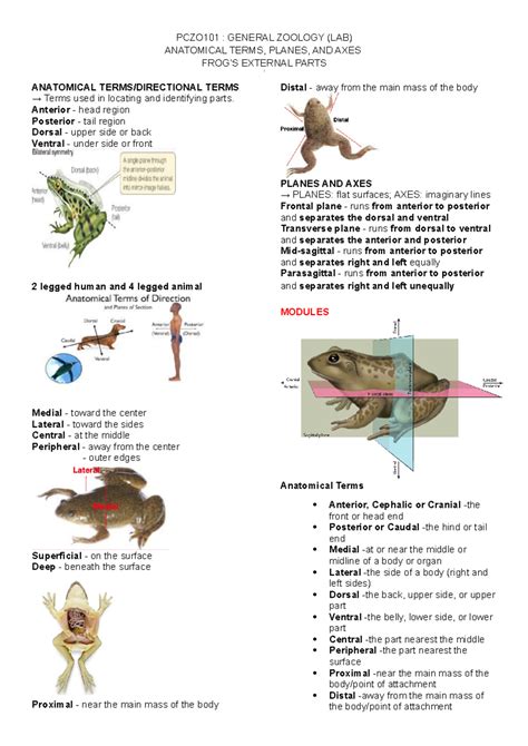 Parts Of Zoology