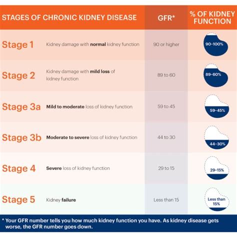Percentage Of Kidney Function