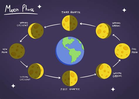 Phases Of Moon Diagram