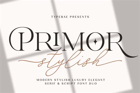 Premium Fonts