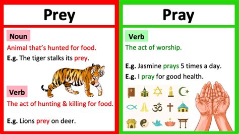 Prey Of Meaning