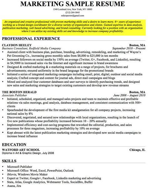 Professional Objective Resume Sample