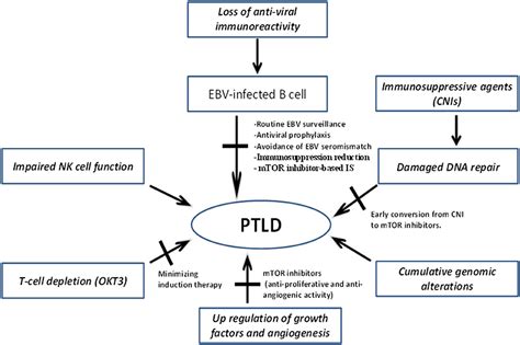 Ptld Medical Abbreviation