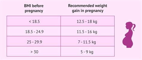 Rate Of Weight Gain During Pregnancy