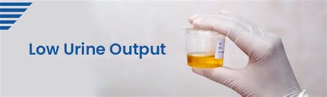 Reduced Urine Output