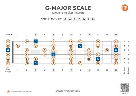 Scale Of G