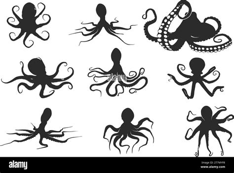 Silhouette Of Octopus