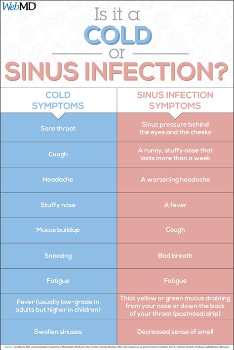 Sinus Cold Symptoms