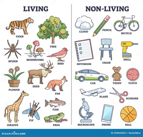 Size Of Living Things