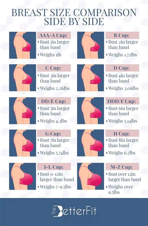 Size Of Women Breast