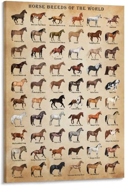 Species Of Horses
