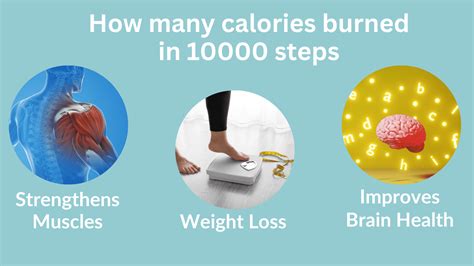 Steps To Calories