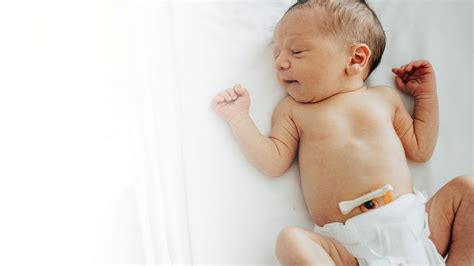 Umbilical Cord Of Newborn
