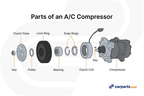 What Are C Parts