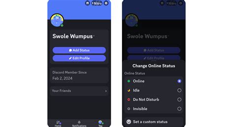 What Does Mean In Discord Status