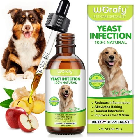 What Helps With Yeast In Dogs Ears