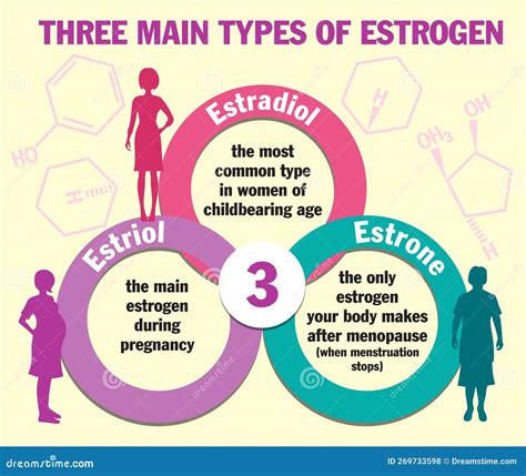 What Improves Estrogen Levels