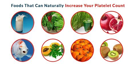 What Increases Platelets