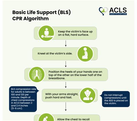 What Is On Life Support