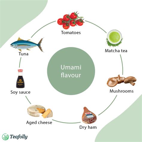 What Is Taste Of Umami