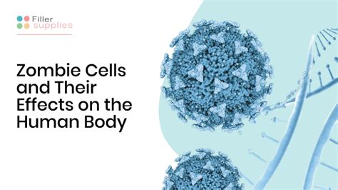 What Kills Zombie Cells In The Body