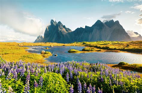 Where To Go In Iceland Summer