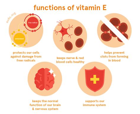 Why Do We Need Vitamin E