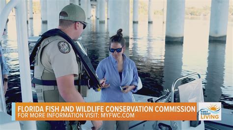 Wildlife In Jacksonville Florida